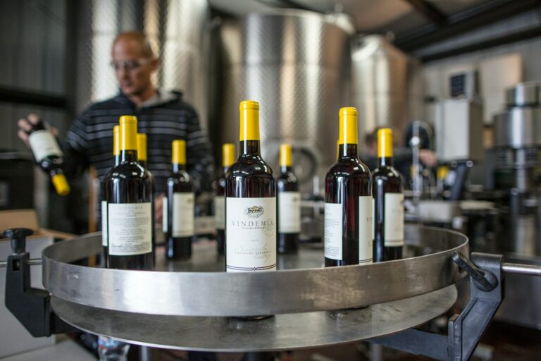 Bouteilles de vin dans un environnement de cave, image d’illustration