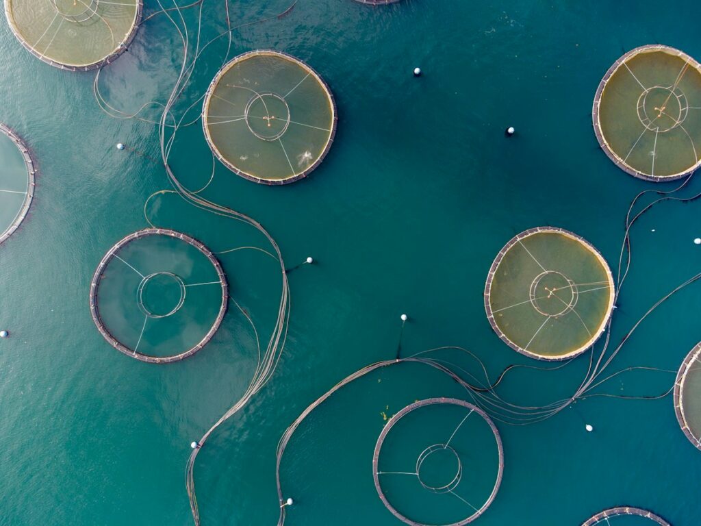 Installation aquacole vue du ciel, photographie d’illustration