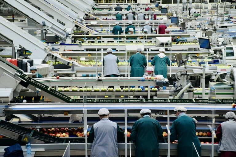 Ligne industrielle de transformation de fruits, illustration du secteur agroalimentaire